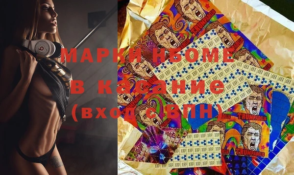 хмурый Дубна