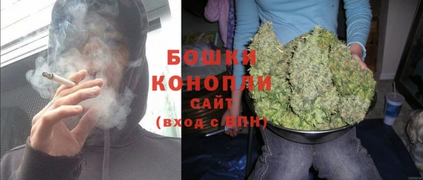 прущие грибы Кинешма