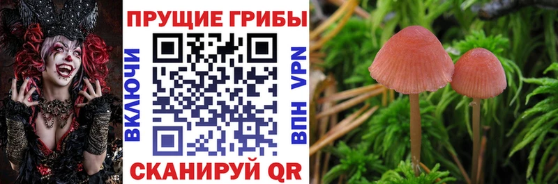 hydra сайт Красный Сулин Псилоцибиновые грибы мицелий